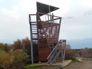 ???????????????????????????????